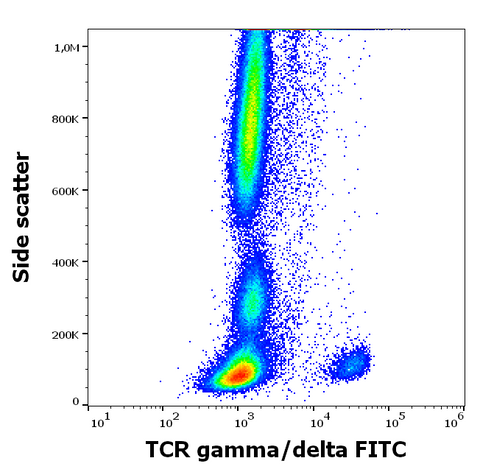 FITC Anti-Human TCR γ/δ (11F2)