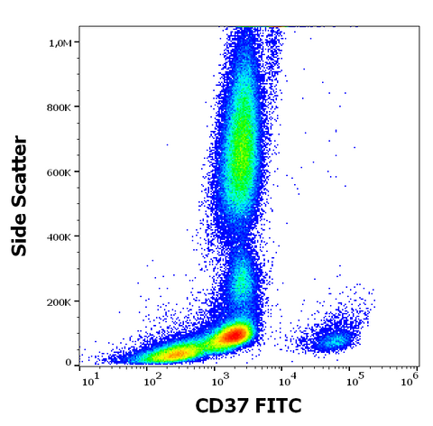 FITC Anti-Human CD37 (MB-1)
