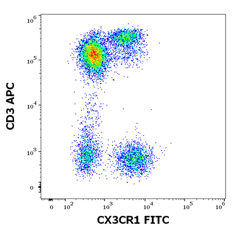 FITC Anti-Human CX3CR1 (2A9-1)
