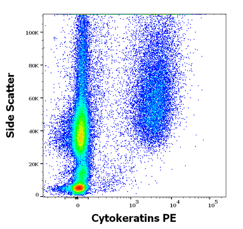 PE Anti-Mammal Cytokeratin, Pan (C11)