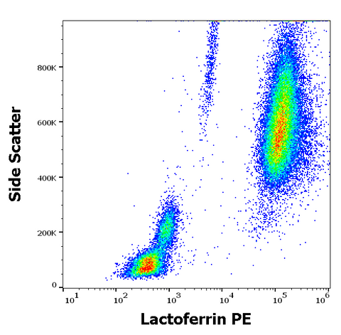 PE Anti-Human Lactoferrin (LF5-1D2)