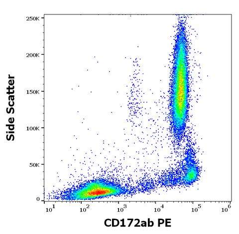 PE Anti-Human CD172a,b (SE5A5)