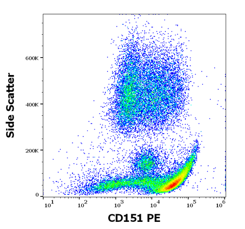 PE Anti-Human CD151 (50-6)