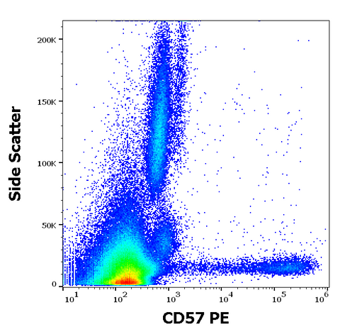 PE Anti-Human CD57 (TB01)