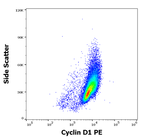 PE Anti-Human/Mouse Cyclin D1 (DCS-6)