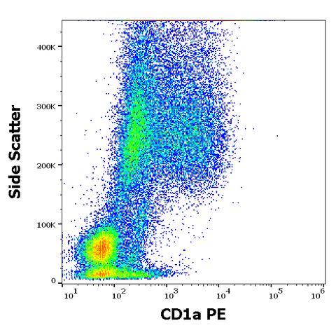 PE Anti-Human CD1a (SK9)