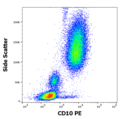 PE Anti-Human CD10 (MEM-78)