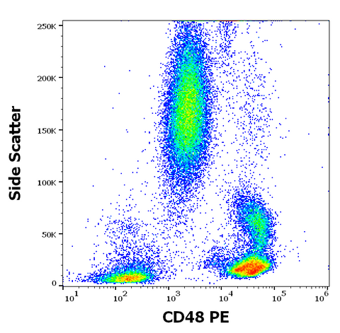 PE Anti-Human CD48 (MEM-102)