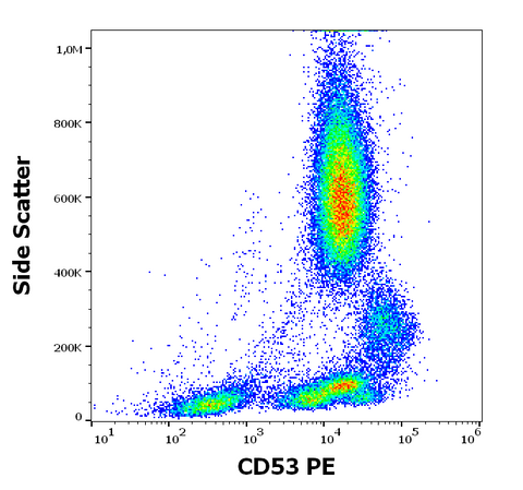PE Anti-Human CD53 (MEM-53)