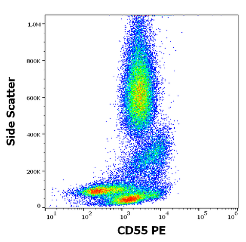 PE Anti-Human CD55 (MEM-118)