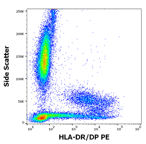 PE Anti-Human MHC Class II (HLA-DR, DP) (HL-38)