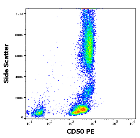 PE Anti-Human CD50 (MEM-171)
