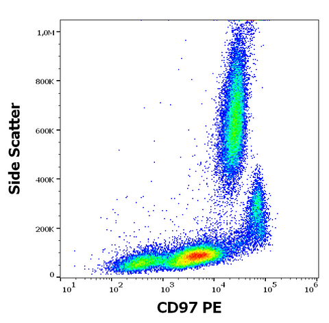 PE Anti-Human CD97 (MEM-180)
