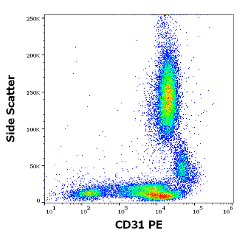 PE Anti-Human CD31 (MEM-05)