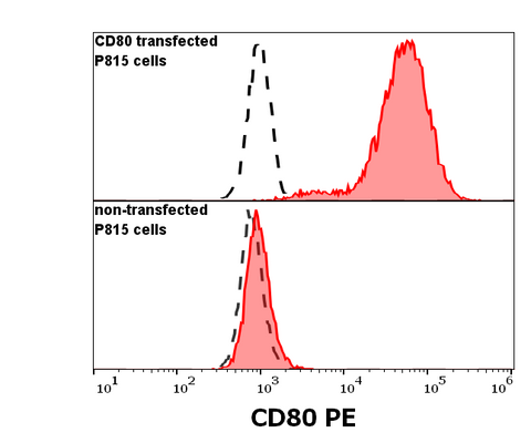 PE Anti-Human CD80 (B7-1) (MEM-233)