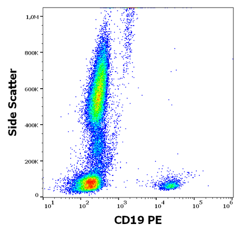 PE Anti-Human CD19 (LT19)