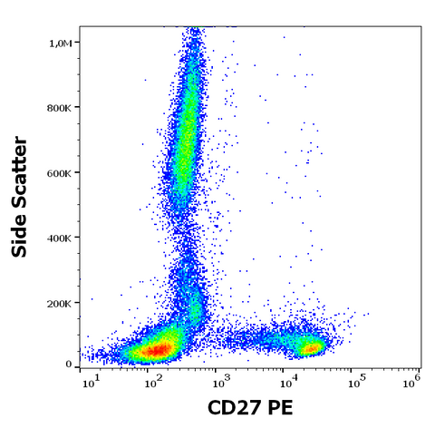 PE Anti-Human CD27 (LT27)