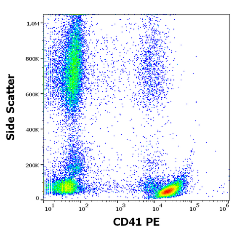 PE Anti-Human CD41 (MEM-06)