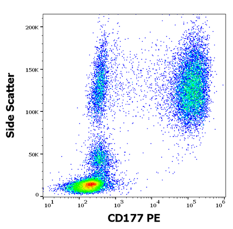 PE Anti-Human CD177 (MEM-166)