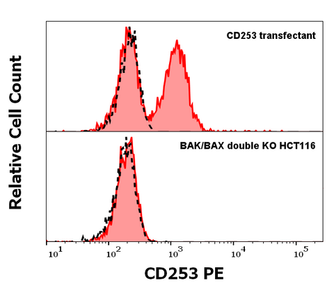 PE Anti-Human CD253 (Trail) (2E5)