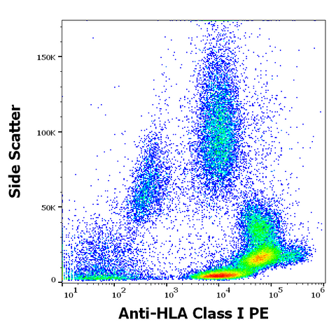 PE Anti-Human MHC Class I (HLA-ABC) (MEM-123)