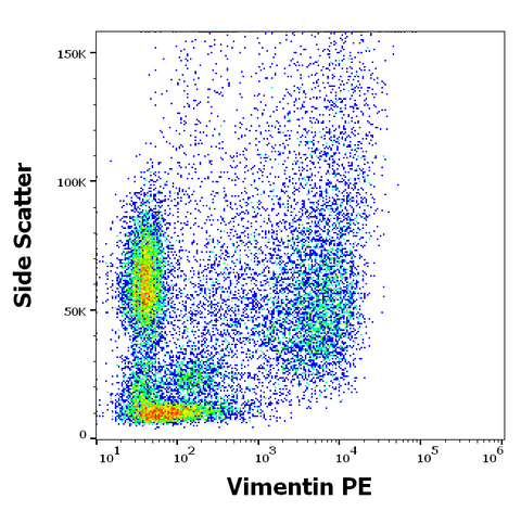 PE Anti-Human Vimentin (VI-RE/1)