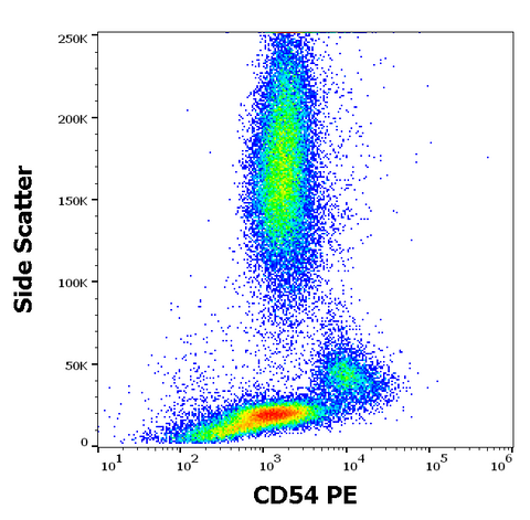 PE Anti-Human CD54 (ICAM-1) (1H4)