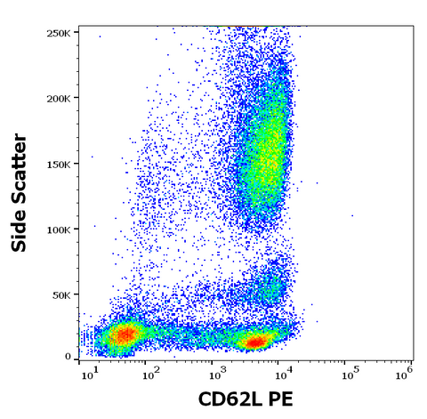 PE Anti-Human CD62L (L-Selectin) (LT-TD180)