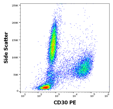 PE Anti-Human CD30 (MEM-268)