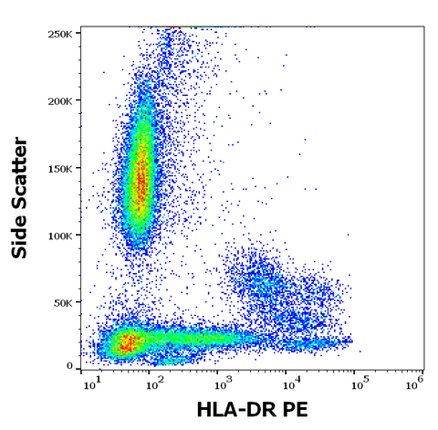 PE Anti-Human MHC Class II (HLA-DR) (MEM-12)