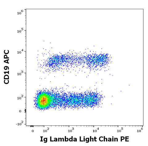 PE Anti-Human Ig Lambda (4C2)