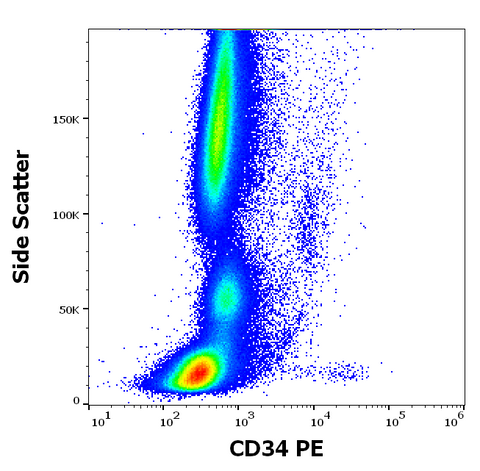 PE Anti-Human CD34 (QBEnd/10)