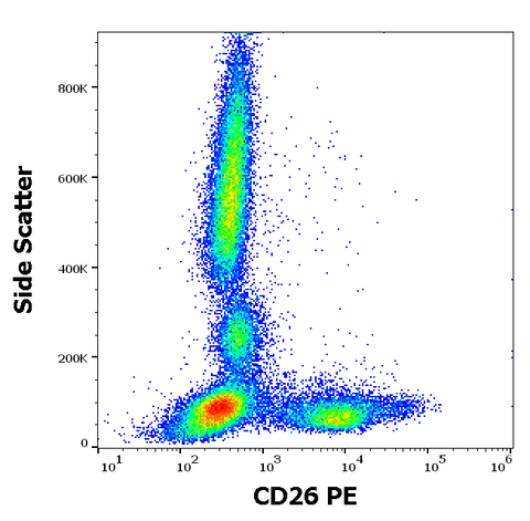PE Anti-Human CD26 (BA5b)