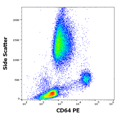 PE Anti-Human CD64 (10.1)