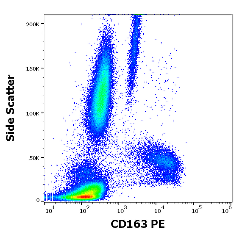 PE Anti-Human CD163 (GHI/61)