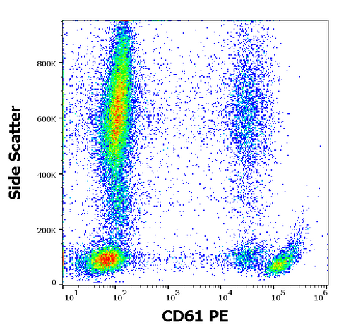 PE Anti-Human CD61 (VI-PL2)