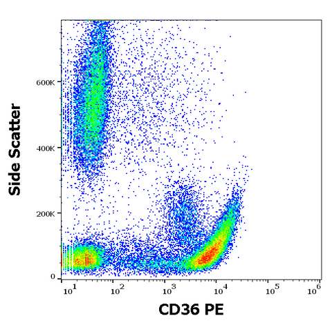 PE Anti-Human CD36 (CB38)