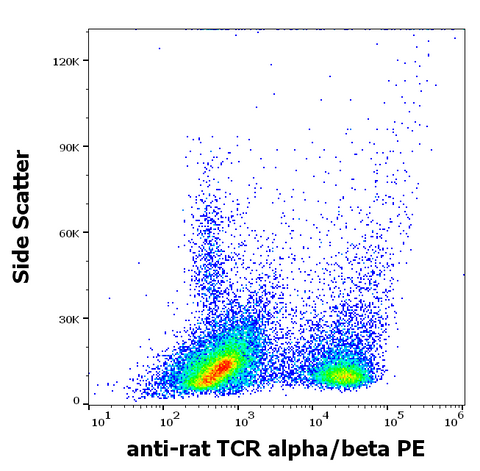 PE Anti-Rat TCR a/b (R73)