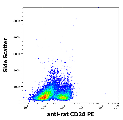 PE Anti-Rat CD28 (JJ319)