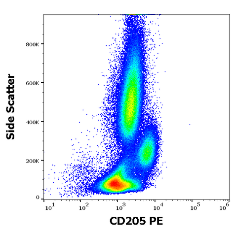 PE Anti-Human CD205 (HD30)