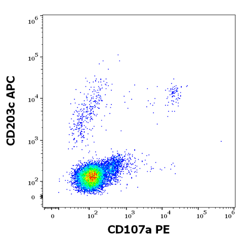 PE Anti-Human CD107a (LAMP-1) (H4A3)