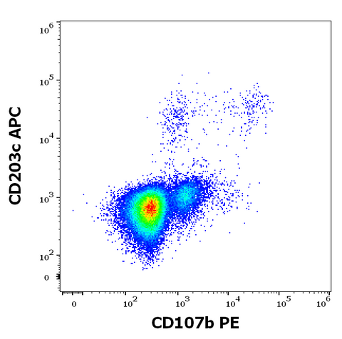 PE Anti-Human CD107b (LAMP-2) (H4B4)