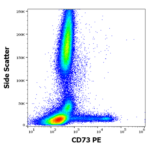 PE Anti-Human CD73 (AD2)