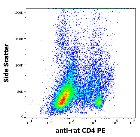 PE Anti-Rat CD4 (OX-35)