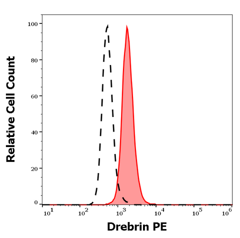 PE Anti-Human Drebrin (DBN-N-03)