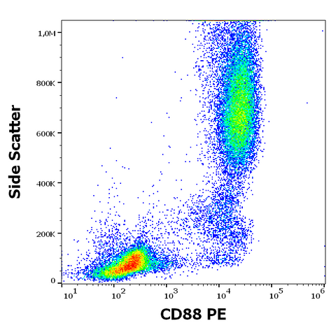 PE Anti-Human CD88 (S5/1)