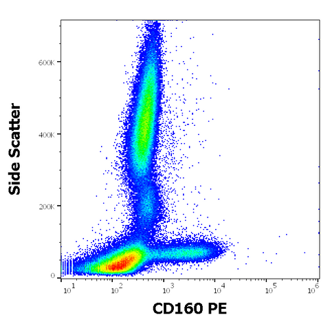 PE Anti-Human CD160 (NK1) (BY55)
