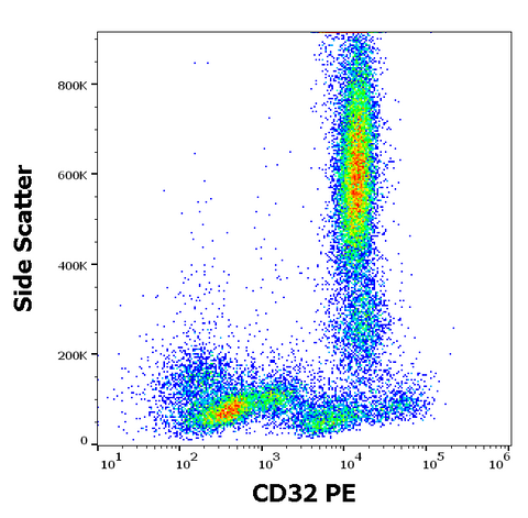 PE Anti-Human CD32 (3D3)