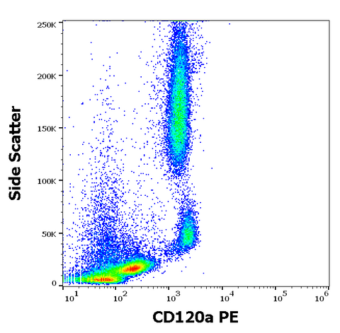 PE Anti-Human CD120a (TNFR1a) (H398)