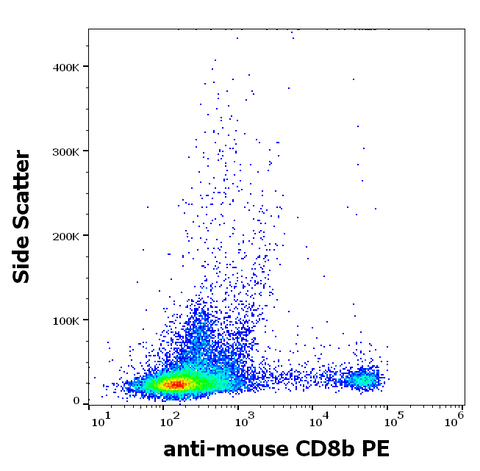 PE Anti-Mouse CD8b (H35-17.2)